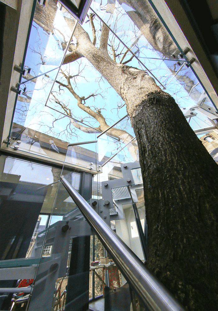 The Tree House, Camden, NW1